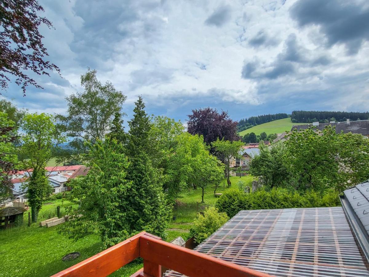 Apartmany U Kolacku Hartmanice  Екстер'єр фото